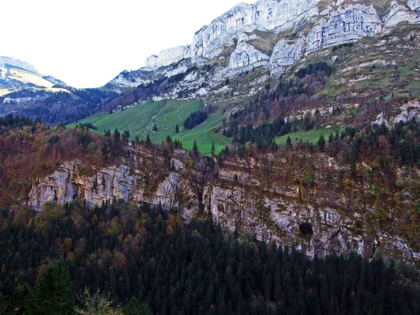 Δέντρα Και Αναμιγνύει Δάση Στην Οροσειρά Alpstein Και Στην Περιοχή — Φωτογραφία Αρχείου