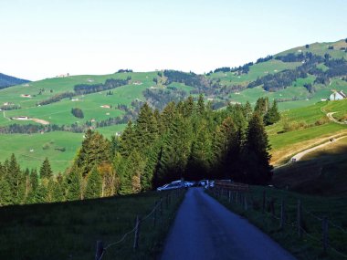 Alpstein sıradağları ve Appenzellerland bölgesinde ağaçlar ve dökmeyen ormanlar - Appenzell Innerrhoden Kantonu (Ai), İsviçre