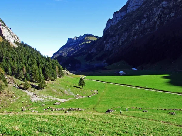 Alpine Mountain Pasture Valley Alpsee Alpstein Mountain Range Appenzellerland Region — Stock Photo, Image