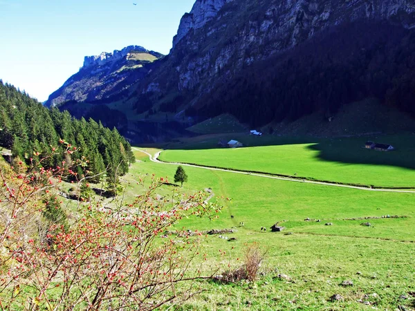 Alpine Mountain Pasture Valley Alpsee Alpstein Mountain Range Appenzellerland Region — Stock Photo, Image