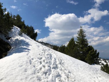 Alpstein sıradağları ve Appenzellerland bölgesinde ilkbaharın başlarında kar örtüsü - Appenzell Innerrhoden Kantonu (Ai), İsviçre