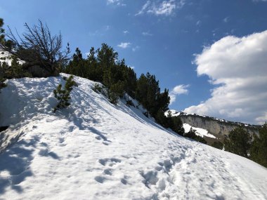 Alpstein sıradağları ve Appenzellerland bölgesinde ilkbaharın başlarında kar örtüsü - Appenzell Innerrhoden Kantonu (Ai), İsviçre