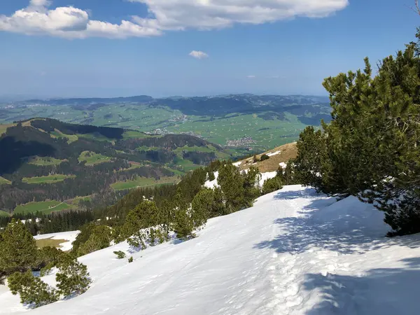 アルプシュタイン山脈とアッペレンツェラーランド地域の早春の積雪 アッベンツェル インナーローデン の広州 スイス — ストック写真