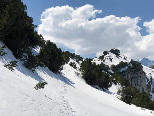 Snow Cover Early Spring Alpstein Mountain Range Appenzellerland Region Canton — Stock Photo, Image