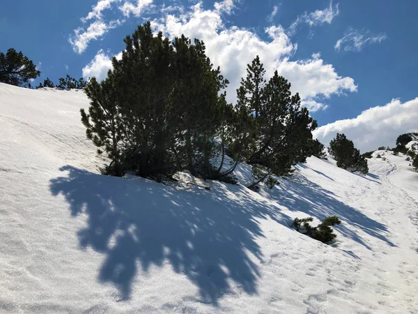 Couverture Neige Début Printemps Sur Chaîne Montagnes Alpstein Dans Région — Photo