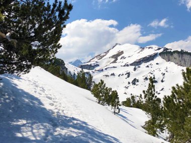 Alpstein dağ sırası Schfler (Schafler od Schaefler) karla kaplı dağ zirvesi - Appenzell Innerrhoden Kantonu (Ai), İsviçre