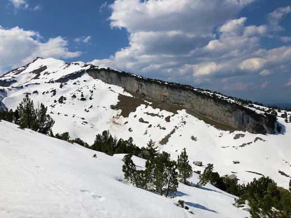 Pic Alpin Enneigé Schfler Schafler Schaefler Dans Chaîne Montagnes Alpstein — Photo