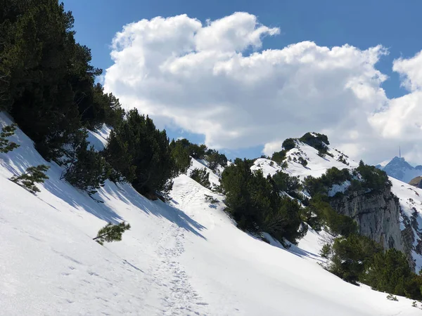 Alpino Neve Schfler Schafler Schaefler Cordilheira Alpstein Cantão Appenzell Innerrhoden — Fotografia de Stock