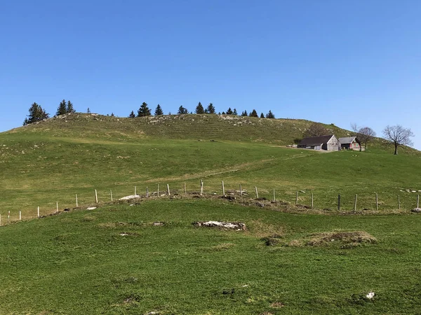 Alpages Prairies Alpines Dans Région Apenzellerland Dans Vallée Vapeur Schwendebach — Photo