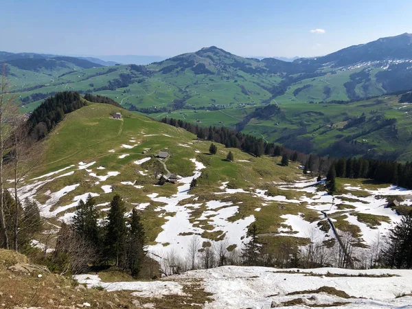 Alpské Pastviny Louky Oblasti Apenzellerland Parním Údolí Schwendebach Kantonu Appenzell — Stock fotografie