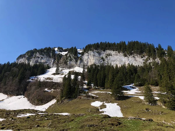 Alpine Hill Ebenalp Het Alpsteingebergte Regio Appenzellerland Kanton Appenzell Innerrhoden — Stockfoto