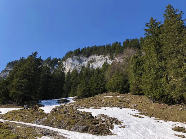 Alpine Hill Ebenalp Alpstein Mountain Range Appenzellerland Region Canton Appenzell — Stock Photo, Image