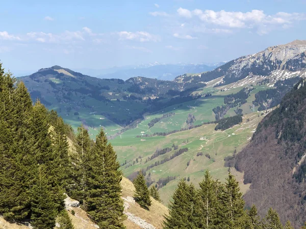 Κοιλάδα Του Ρεύματος Schwendebach Στην Περιοχή Του Απελενζέλ Ινερχόνντεν Ελβετία — Φωτογραφία Αρχείου
