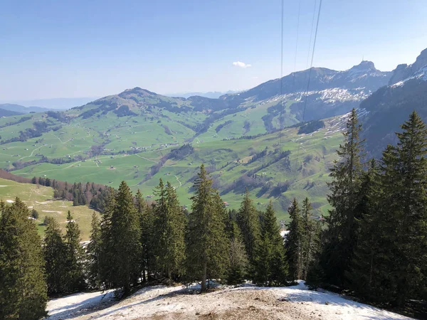 Údolí Potoka Schwendebach Oblasti Appenzellerland Kantonu Appenzell Innerrhoden Švýcarsko — Stock fotografie