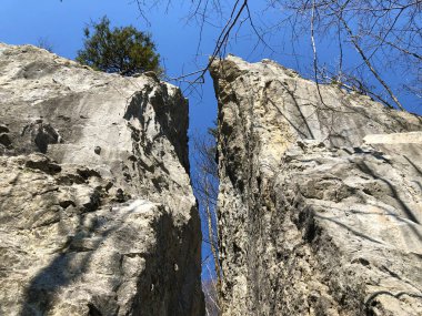 Alpstein sıradağlarının alp manzarası ve kayalık zirveleri - Appenzell Innerrhoden Kantonu (Ai), İsviçre
