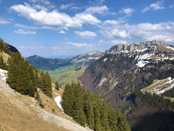 Alpský Kopec Alp Sigel Pohoří Alpstein Oblasti Appenzellerland Kanton Appenzell — Stock fotografie