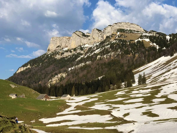 Гірський Пагорб Альп Сігель Гірському Діапазоні Alpstein Апенцельмерленд Кантон Аппенцель — стокове фото