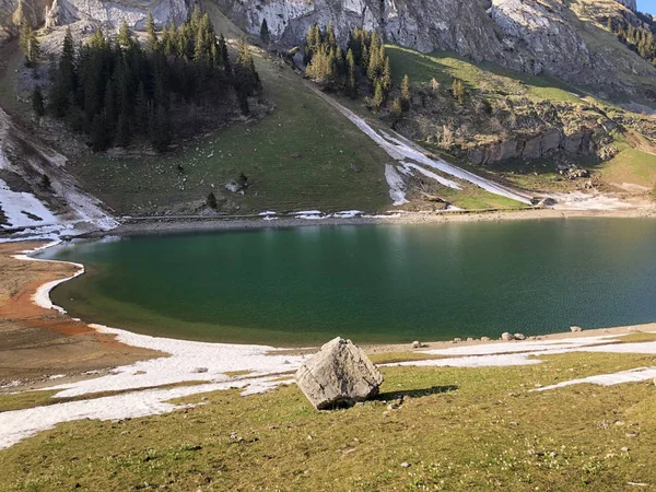 阿尔卑斯湖塞尔普湖在阿尔普施泰因山脉和阿彭策勒兰地区 阿彭策尔内霍登州 — 图库照片