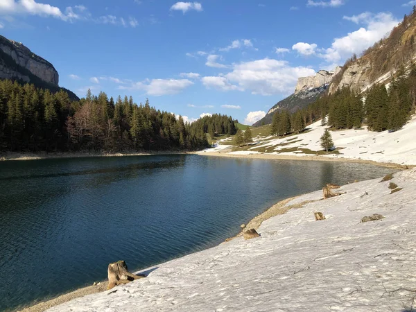 Альпійська Озеро Seealpsee Гірському Діапазоні Альпштайн Апенцельмерленд Кантоні Аппенцель Innerrhoden — стокове фото