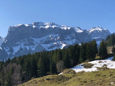 Alpstein sıradağları ve Appenzellerland bölgesinde ağaçlar ve dökmeyen ormanlar - Appenzell Innerrhoden Kantonu (Ai), İsviçre