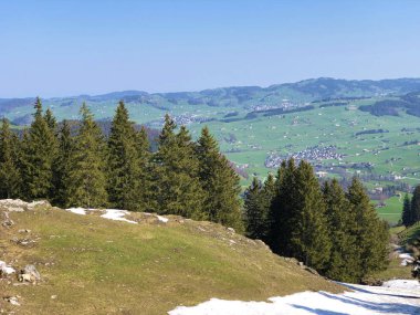 Alpstein sıradağları ve Appenzellerland bölgesinde ağaçlar ve dökmeyen ormanlar - Appenzell Innerrhoden Kantonu (Ai), İsviçre