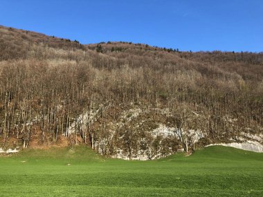 Appenzellerland bölgesinde yaprak döken ağaçlar ve erken bahar ormanları ve Schwende dere vadisi - Appenzell Innerrhoden Kantonu (Ai), İsviçre