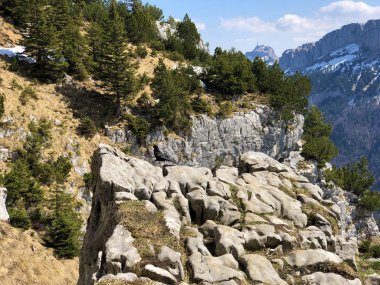 Fuessler uçurum veya Fuessler-Felsen (Fuessler-Felsen veya Fuessler-Felsen) Ebenalp alp tepe ve Appenzellerland bölgesinde - Appenzell Innerrhoden Kantonu (Ai), İsviçre