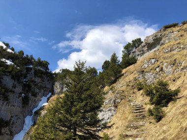 Fuessler uçurum veya Fuessler-Felsen (Fuessler-Felsen veya Fuessler-Felsen) Ebenalp alp tepe ve Appenzellerland bölgesinde - Appenzell Innerrhoden Kantonu (Ai), İsviçre