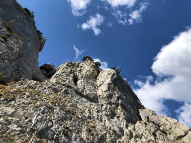 Fuessler uçurum veya Fuessler-Felsen (Fuessler-Felsen veya Fuessler-Felsen) Ebenalp alp tepe ve Appenzellerland bölgesinde - Appenzell Innerrhoden Kantonu (Ai), İsviçre