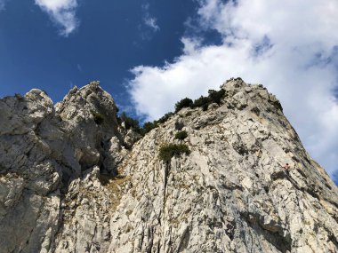 Fuessler uçurum veya Fuessler-Felsen (Fuessler-Felsen veya Fuessler-Felsen) Ebenalp alp tepe ve Appenzellerland bölgesinde - Appenzell Innerrhoden Kantonu (Ai), İsviçre