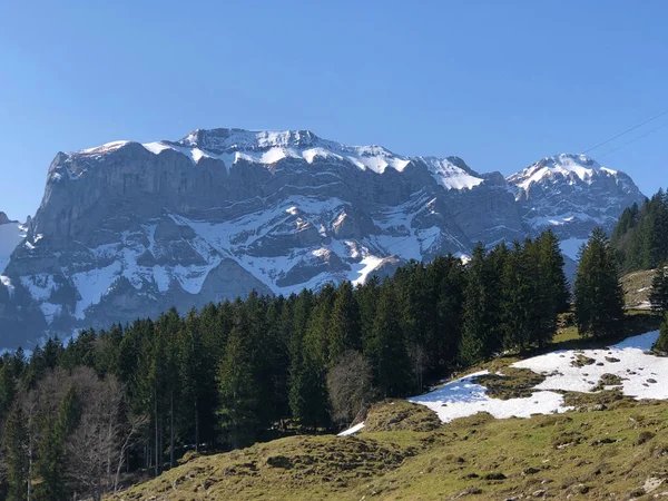 Drzewa Wiecznie Zielone Lasy Górach Alpstein Regionie Appenzellerland Canton Appenzell — Zdjęcie stockowe