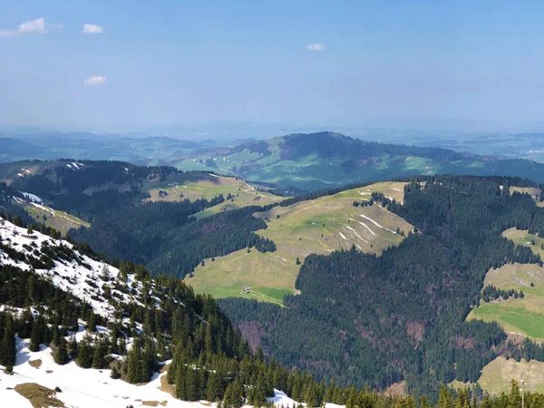 Arbres Forêts Feuilles Persistantes Dans Chaîne Montagnes Alpstein Dans Région — Photo