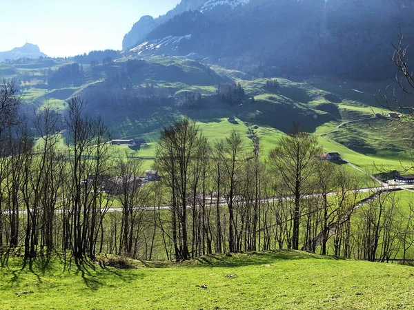 Árvores Caducas Florestas Início Primavera Região Appenzellerland Vale Córrego Schwende — Fotografia de Stock