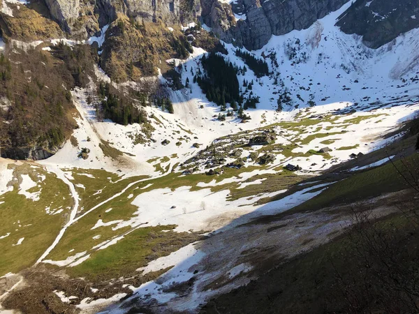 Alpina Berg Betar Dalen Alpsee Alpsteinbergspänna Och Appenzellerlandregionen Cantonen Appenzell — Stockfoto