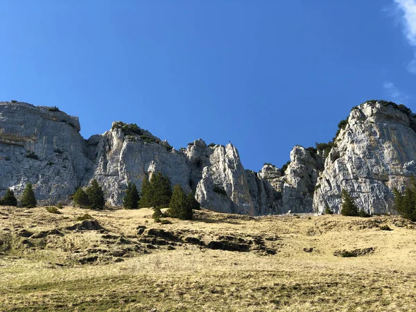 Фюсслер Клифф Фюсслер Фельзен Fueessler Felsen Fuessler Felsen Альпийском Холме — стоковое фото