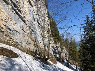 Alpstein sıradağları ve Appenzellerland bölgesinde Ascher uçurumu veya Ascher-Felsen (Aescher-Felsen) - Appenzell Innerrhoden Kantonu (Ai), İsviçre