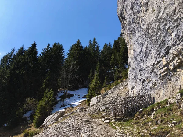 Γκρεμός Της Ascher Ascher Felsen Ασσάσερ Φέλσεν Στην Οροσειρά Alpstein — Φωτογραφία Αρχείου