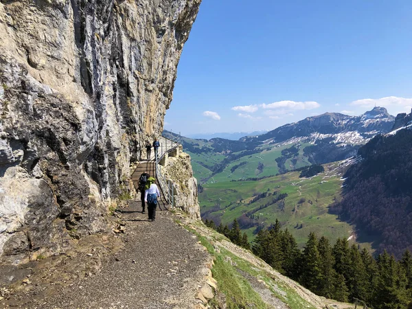 Ascher Cliff Nebo Ascher Felsen Aescher Felsen Pohoří Alpstein Oblasti — Stock fotografie