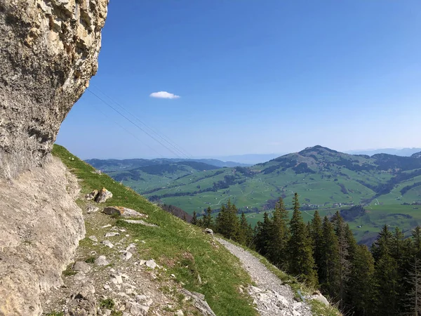 Ascher Cliff Nebo Ascher Felsen Aescher Felsen Pohoří Alpstein Oblasti — Stock fotografie