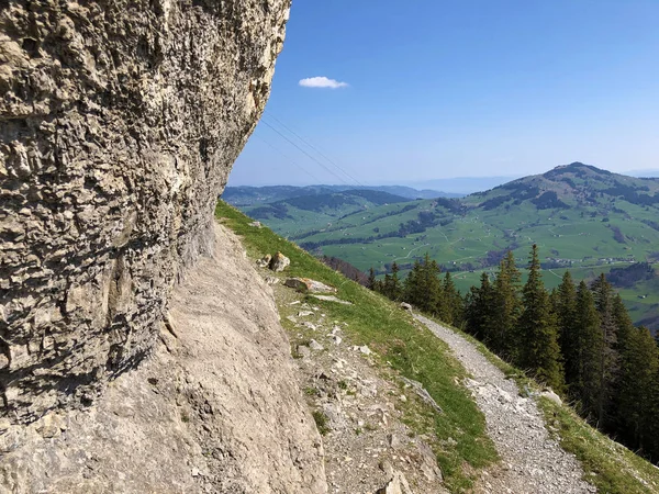 Cliff Ascher Ascher Felsen Aescher Felsen Cordilheira Alpstein Região Appenzellerland — Fotografia de Stock