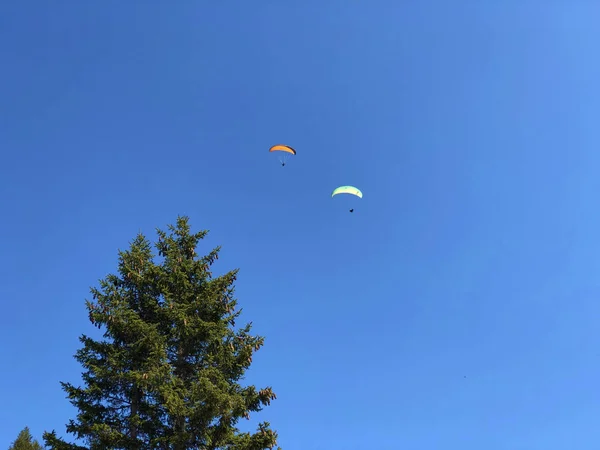 Parapentes Cielo Sobre Montaña Ebenalp Región Appenzellerland Cantón Appenzell Innerrhoden — Foto de Stock