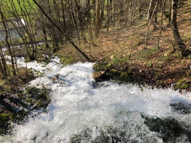 Şelale ve karst bahar veya Karstquelle Tschuder, Schwende - Appenzell Innerrhoden (Ai), İsviçre Kton ile su kaynağı akan kaynak Tschuder