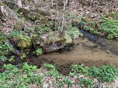Ebenalp sıradağları altında kart bahar ve şelale Tschuder yanındaki kaynaklar ve Appenzellerland bölgesinde - Appenzell Innerrhoden Kantonu (Ai), İsviçre