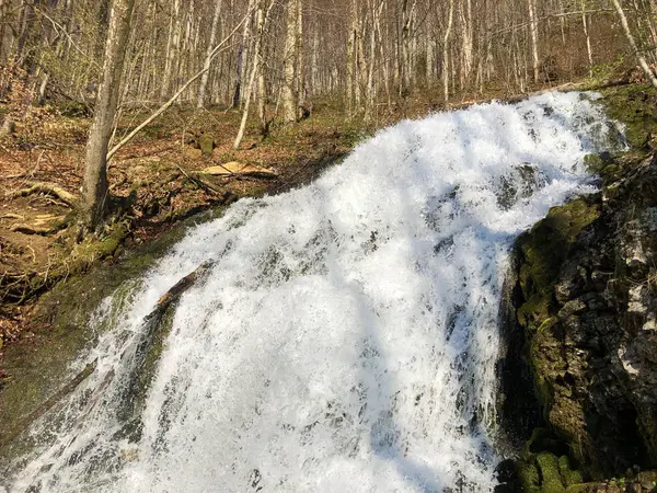 Vattenförsörjning Flödande Källa Tschuder Med Vattenfall Och Karst Våren Eller — Stockfoto