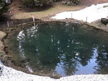 Bir orman kaynağı ve Alp Sigel dağın tepesinde ve Appenzellerland bölgesinde bir sulama yeri ile küçük bir göl - Appenzell Innerrhoden Kton (Ai), İsviçre