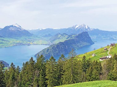 Vitznauerstock zirvesinden arka planda Lucerne Gölü veya Vierwaldstaetersee ve İsviçre Alpleri manzarası - Lucerne Kantonu, İsviçre