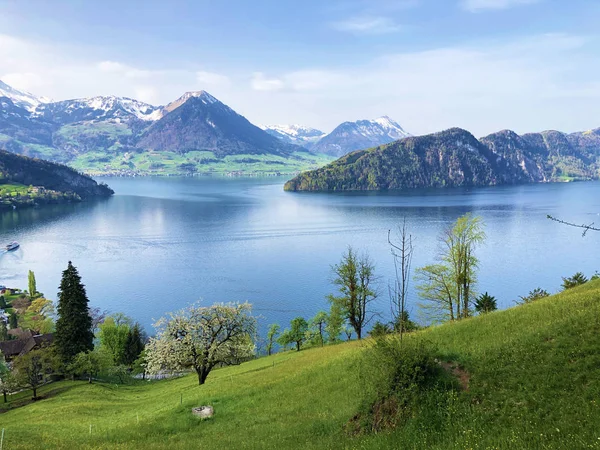 Вид Озеро Люцерн Або Єдвальдстатерзее Швейцарські Альпи Задньому Плані Від — стокове фото