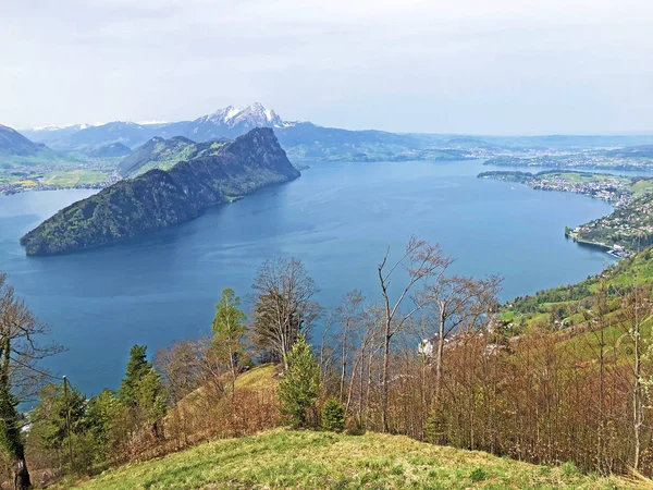 Veduta Del Lago Lucerna Vierwaldstaetersee Delle Alpi Svizzere Sullo Sfondo — Foto Stock