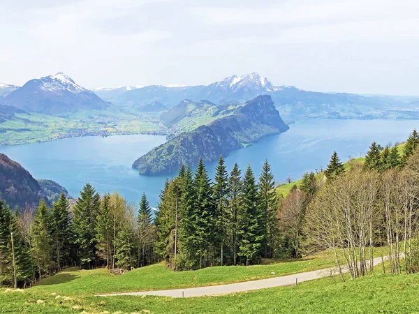 Vista Lago Lucerna Vierwaldstaetersee Dos Alpes Suíços Fundo Pico Vitznauerstock — Fotografia de Stock