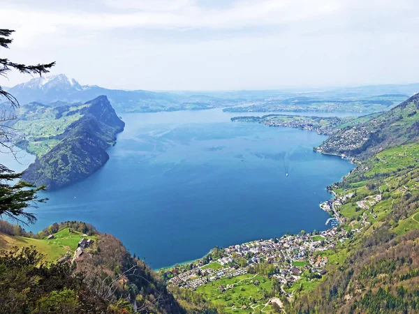 Luzerni Tóra Vierwaldstaetersee Svájci Alpokra Néző Kilátás Vitznauerstock Csúcsra Luzern — Stock Fotó